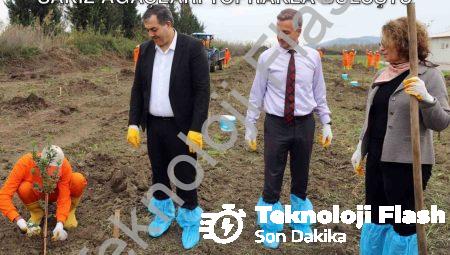 Dalaman Açık Cezaevi’nde Üretim Hamlesi: Sakız Ağaçları Toprakla Buluştu