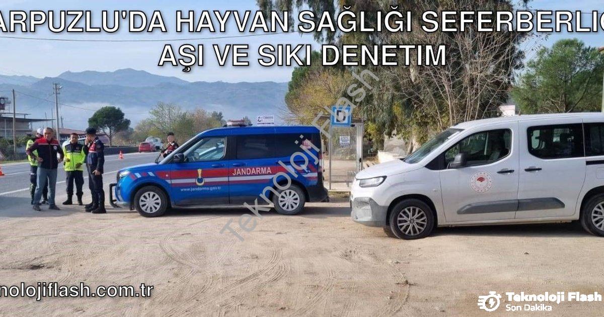 "Karpuzlu'da Hayvan Sağlığı Seferberliği: Aşı ve Sıkı Denetim" başlıklı haber için fotorealistik, pr