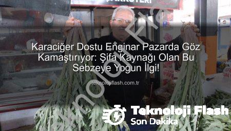 Karaciğer Dostu Enginar Pazarda Göz Kamaştırıyor: Şifa Kaynağı Olan Bu Sebzeye Yoğun İlgi!