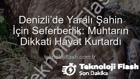 Denizli’de Yaralı Şahin İçin Seferberlik: Muhtarın Dikkati Hayat Kurtardı
