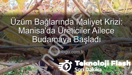 Üzüm Bağlarında Budama Maliyeti Üreticiyi Ailece Çalışmaya Zorladı: Manisa’da Yeni Dönem