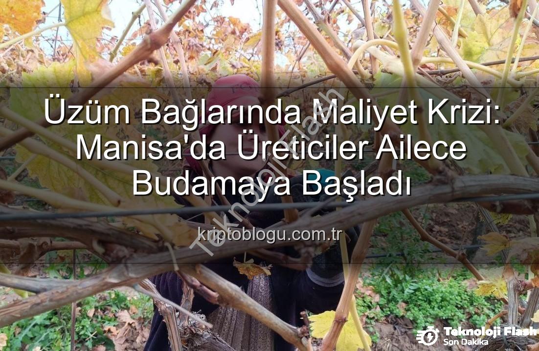 budama maliyeti - Üzüm Bağlarında Budama Maliyeti Üreticiyi Ailece Çalışmaya Zorladı: Manisa'da Yeni Dönem
