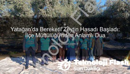 Yatağan’da Bereketli Zeytin Hasadı Başladı: İlçe Müftülüğü’nden Anlamlı Dua