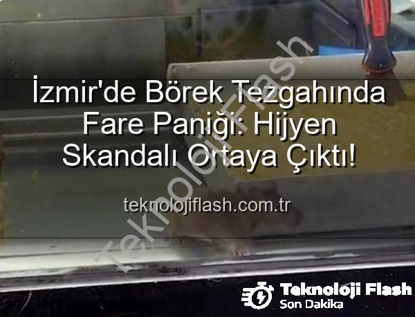 börek tezgahında fare - İzmir'de Börek Tezgahında Fare Paniği: Hijyen Skandalı Ortaya Çıktı!