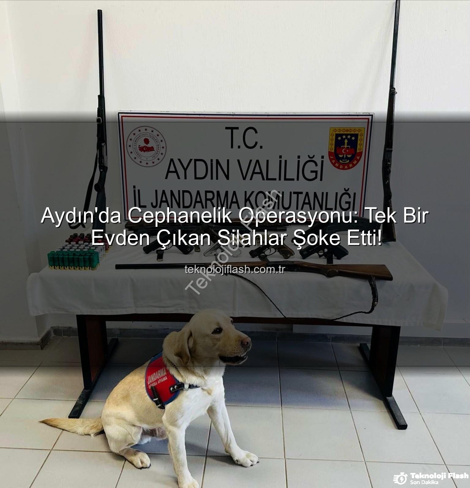 otomatik silahlar - Aydın'da Cephanelik Operasyonu: Tek Bir Evden Çıkan Silahlar Şoke Etti!