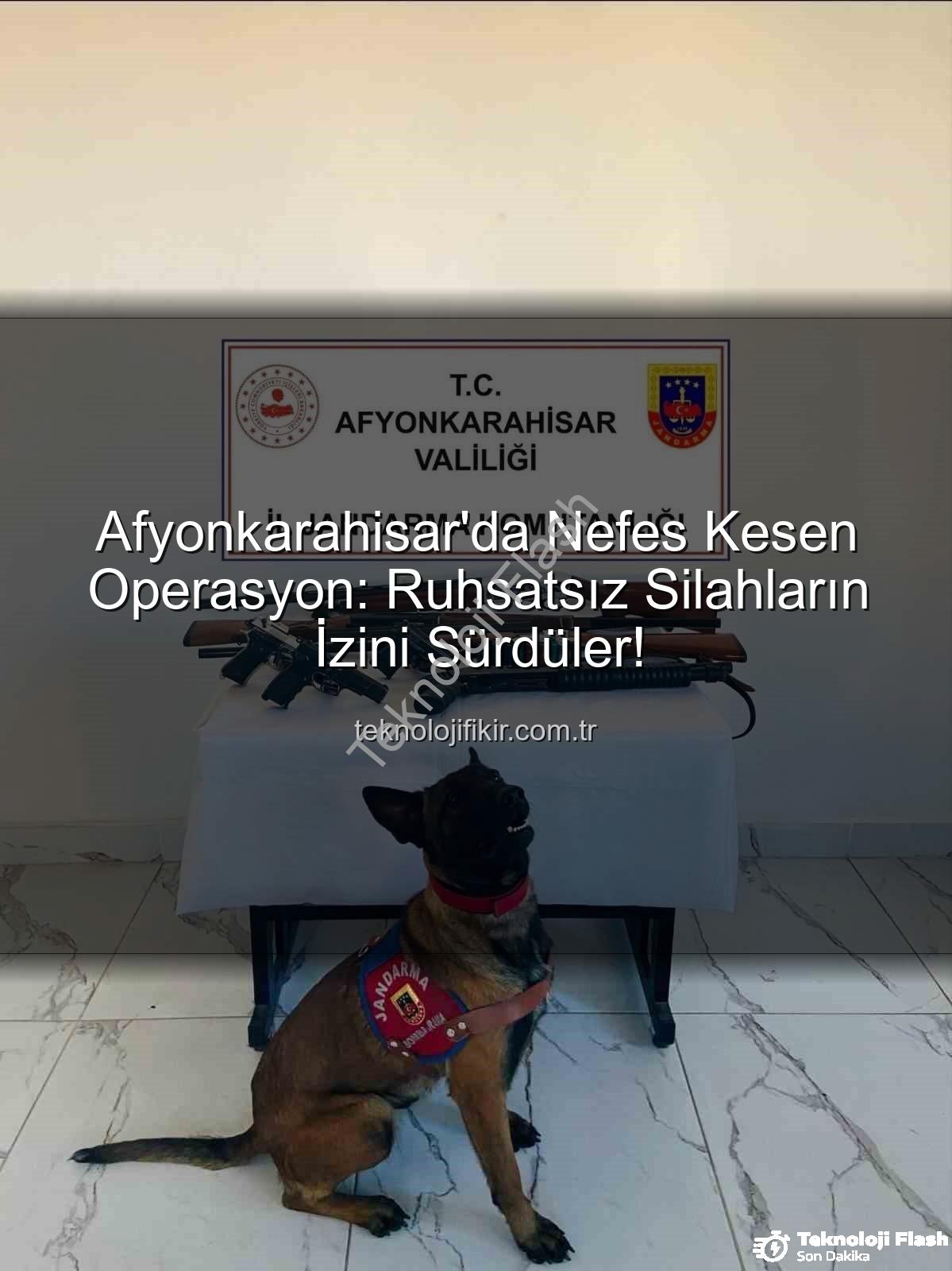 ruhsatsız silah - Afyonkarahisar Jandarması'ndan Nefes Kesen Ruhsatsız Silah Operasyonu: 7 Silah Ele Geçirildi!