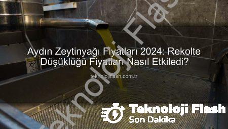 Aydın Zeytinyağı Fiyatları 2024: Rekolte Düşüklüğü Fiyatları Nasıl Etkiledi?