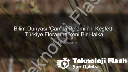 Bilim Dünyası ‘Çameli Pelemiri’ni Keşfetti: Türkiye Florasına Yeni Bir Halka
