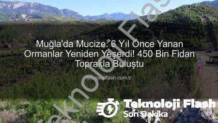 Muğla’da Mucize: 6 Yıl Önce Yanan Ormanlar Yeniden Yeşerdi! 450 Bin Fidan Toprakla Buluştu