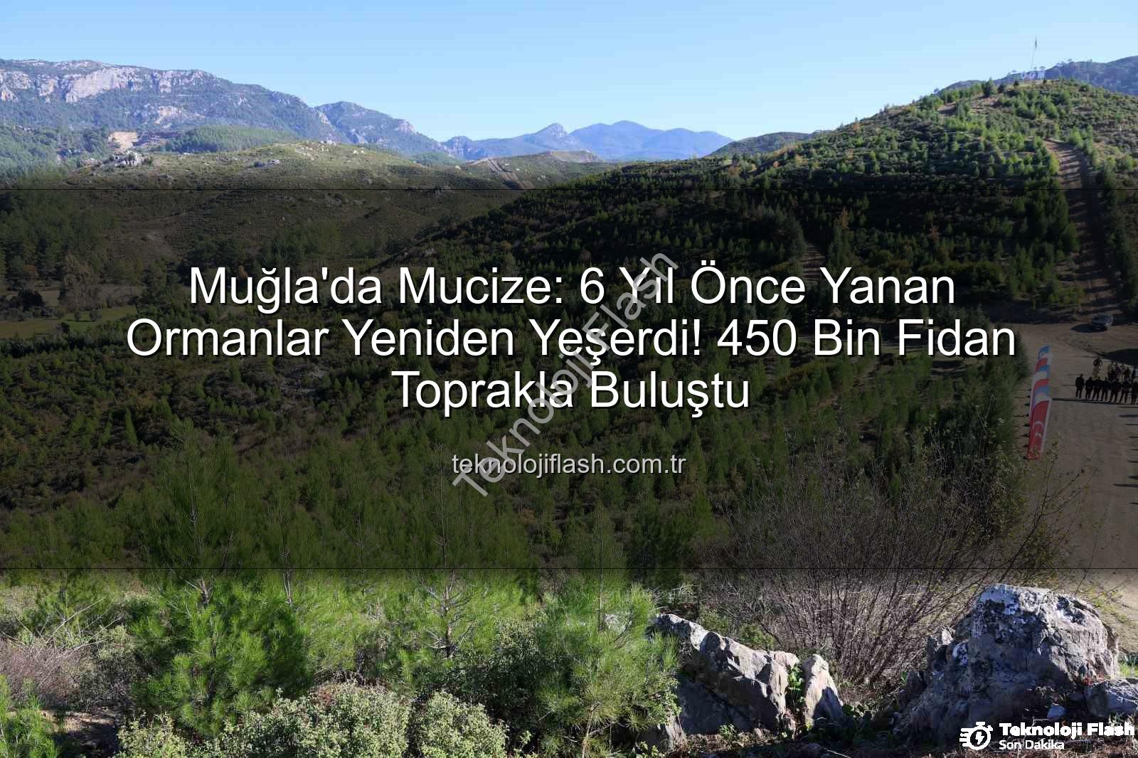 yanan ormanlar yeniden yeşerdi - Muğla'da Mucize: 6 Yıl Önce Yanan Ormanlar Yeniden Yeşerdi! 450 Bin Fidan Toprakla Buluştu