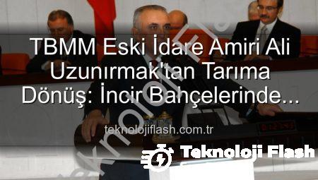 TBMM Eski İdare Amiri Ali Uzunırmak’tan Tarıma Dönüş: İncir Bahçelerinde Huzur Buluyor