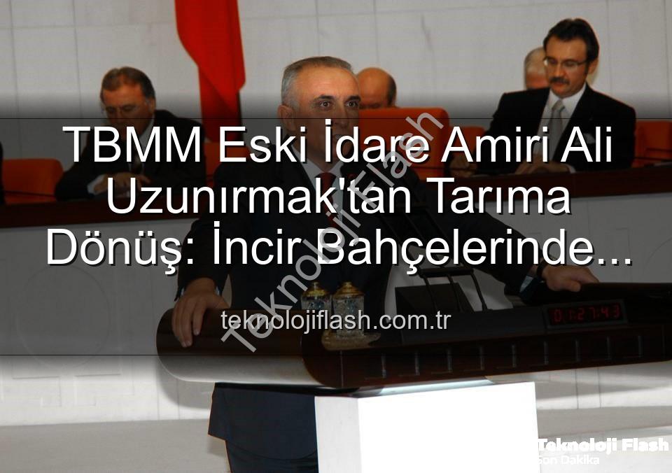 Ali Uzunırmak tarım - TBMM Eski İdare Amiri Ali Uzunırmak'tan Tarıma Dönüş: İncir Bahçelerinde Huzur Buluyor
