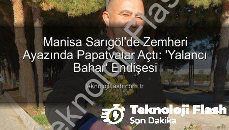 Manisa Sarıgöl’de Zemheri Ayazında Papatyalar Açtı: ‘Yalancı Bahar’ Endişesi